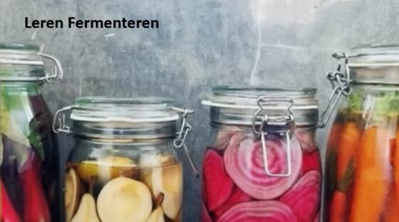 leren fermenteren