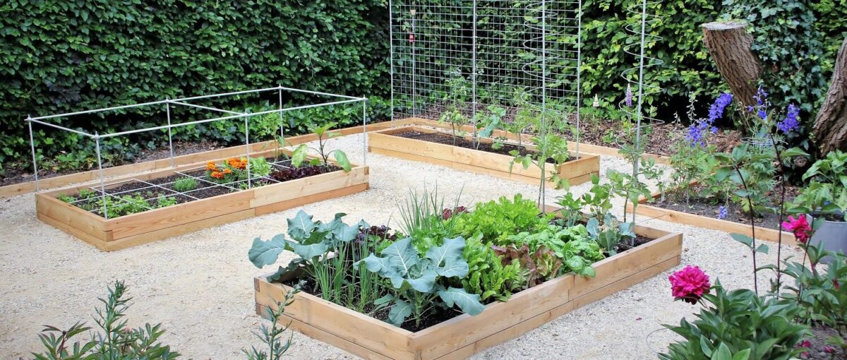 moestuinbak