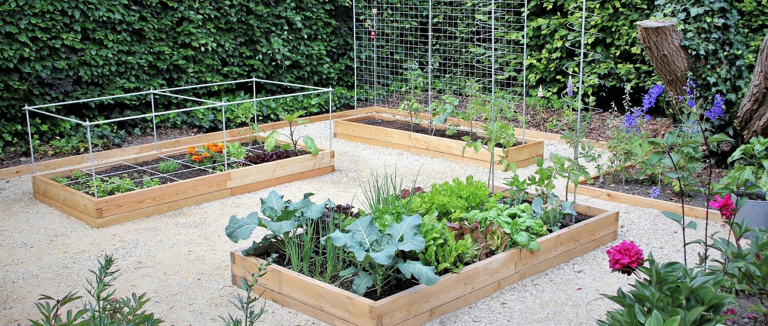 moestuinbak